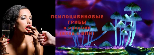 PSILOCYBIN Ладушкин
