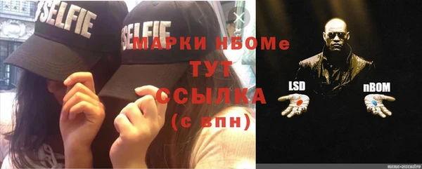 PSILOCYBIN Ладушкин