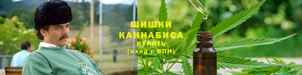 PSILOCYBIN Ладушкин