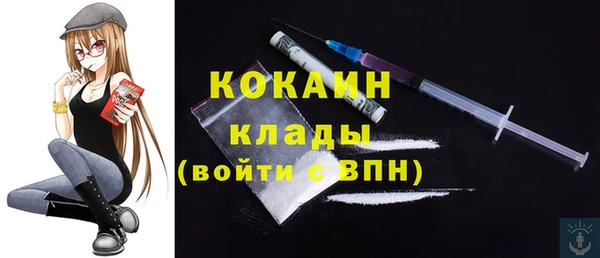 PSILOCYBIN Ладушкин