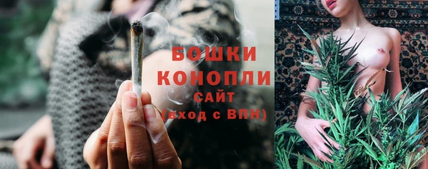 бошки Лагань