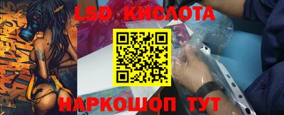 прущие грибы Краснодар