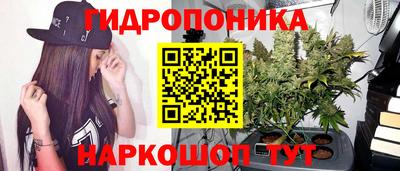 сатива Краснокаменск