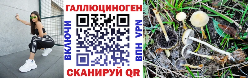 Псилоцибиновые грибы ЛСД  где купить наркотик  Топки 