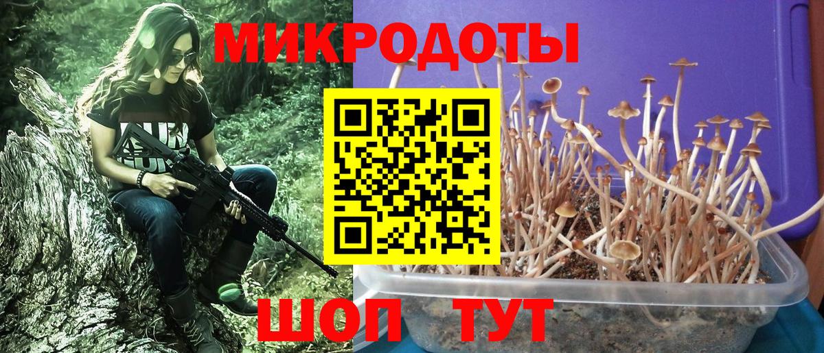 Псилоцибиновые грибы ЛСД  Топки 